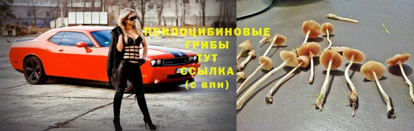соль курить ск Гусев